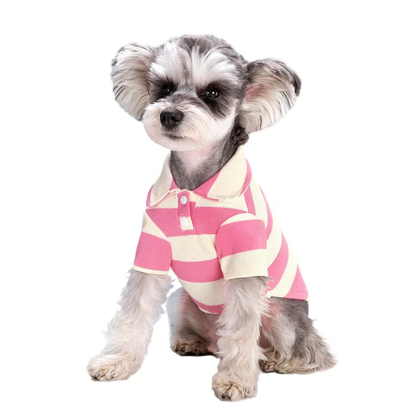 CDDMPET Pet POLO Shirt Summer Dog Clothes for Smal Dogs Puppy Cat Vest Chihuahua French Bulldog Tshirt Yorkie Poodle Pug Custome