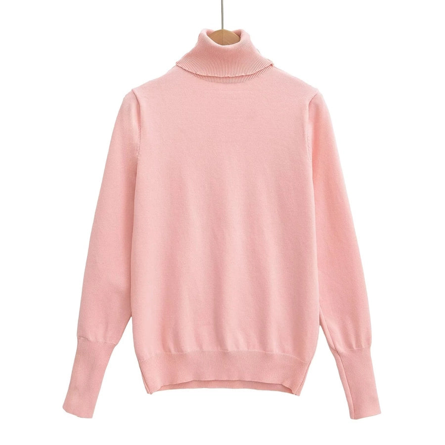 Women's Sweater Long Sleeve Sweaters & Cardigans Vacation Simple Style Solid Color