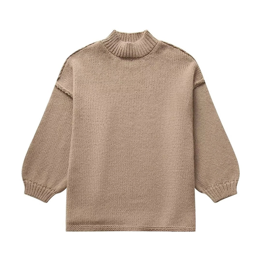Women's Sweater Long Sleeve Sweaters & Cardigans Elegant Simple Style Solid Color