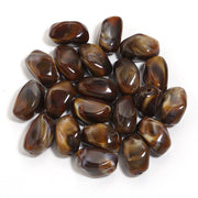 Brown Holes