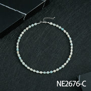 NE2676-