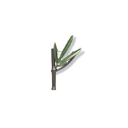 Bamboo