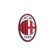 AC Brooch