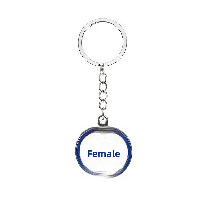 Alloy Keychain In Stylish Colour, Durable And Lightweight Jewelry Accessory