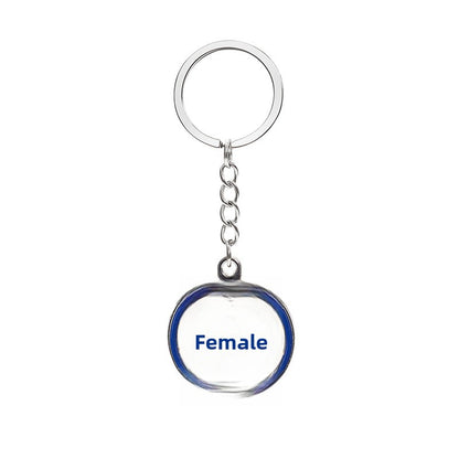 Alloy Keychain In Stylish Colour, Durable And Lightweight Jewelry Accessory