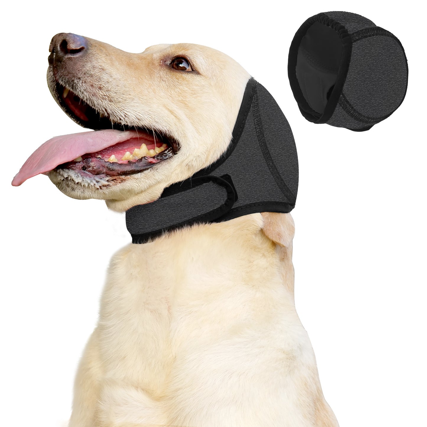 Summer Pet Tire For Safe And Comfortable Outdoor Adventures With Your Pet