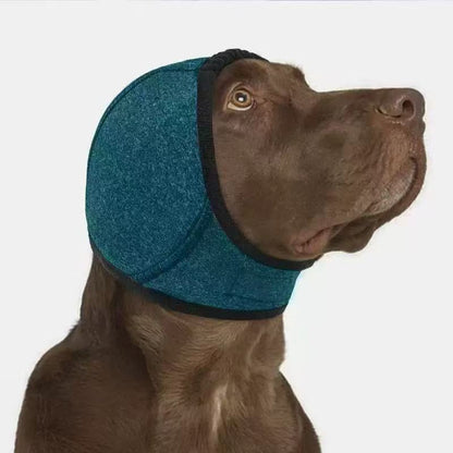 Summer Pet Tire For Safe And Comfortable Outdoor Adventures With Your Pet