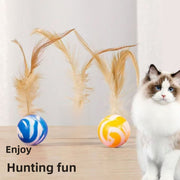1 Piece of Colorful Candy Feather Rubber Ball (random Color)