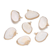 E10 Clam