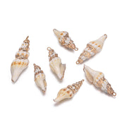 E120 Pagoda Snail