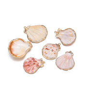 E16 Scallops