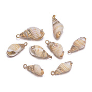 E51 Phoenix Snail
