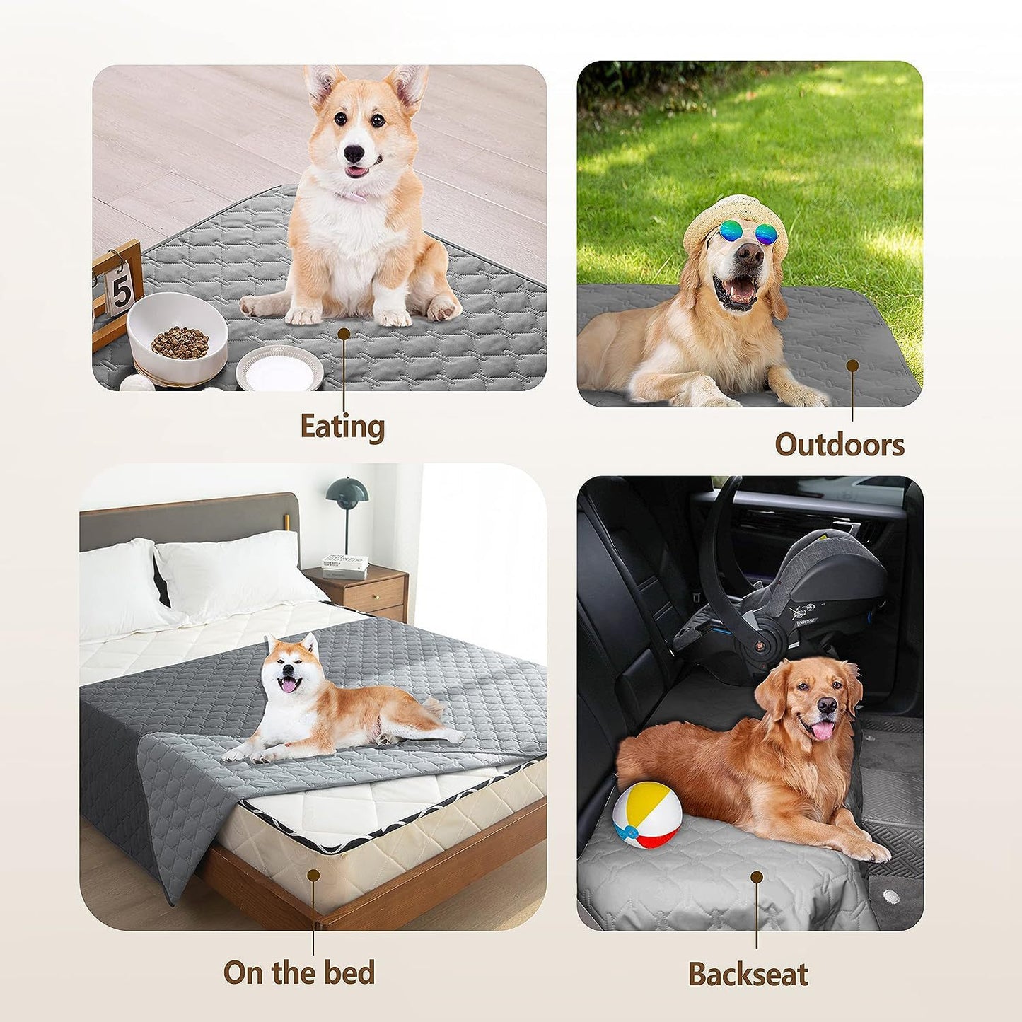 All Seasons Dog Bed, Crate, And Mat For Comfortable Pet Rest