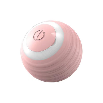 Plastic Pet Toys For Cats Featuring Durable And Safe Design