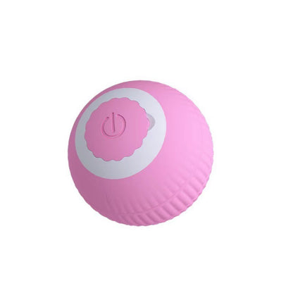 Plastic Pet Toys For Cats Featuring Durable And Safe Design