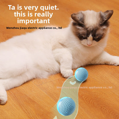 Plastic Pet Toys For Cats Featuring Durable And Safe Design