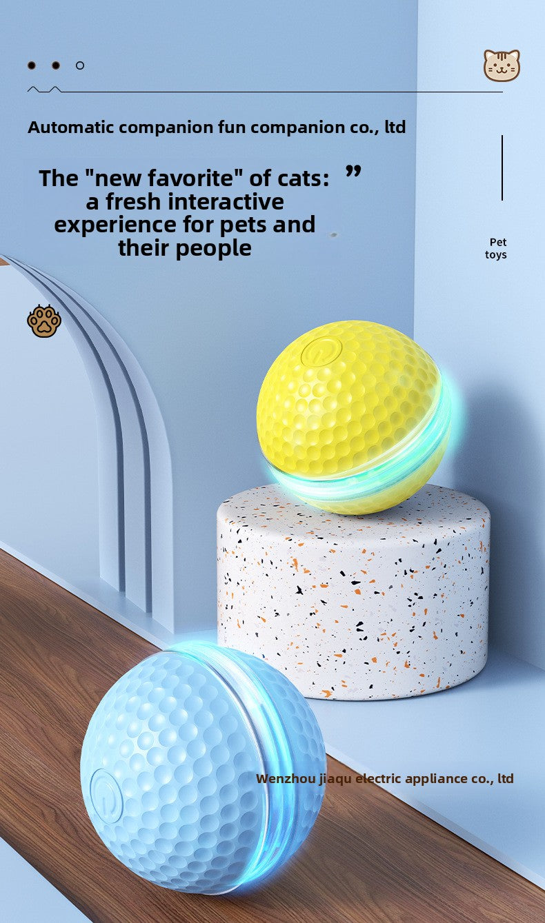 Plastic Pet Toys For Cats Featuring Durable And Safe Design