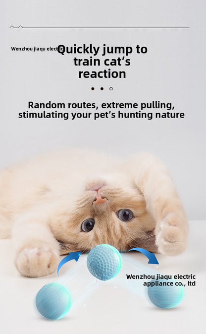 Plastic Pet Toys For Cats Featuring Durable And Safe Design