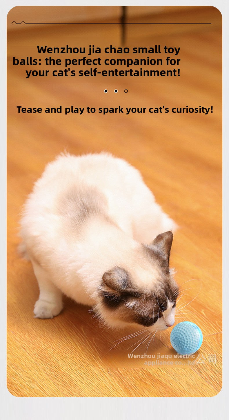Plastic Pet Toys For Cats Featuring Durable And Safe Design