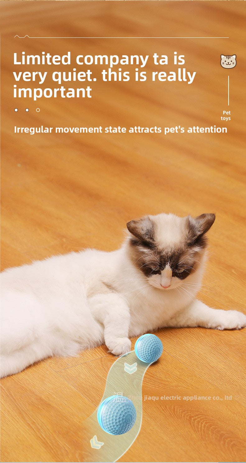 Plastic Pet Toys For Cats Featuring Durable And Safe Design