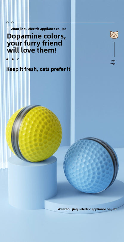 Plastic Pet Toys For Cats Featuring Durable And Safe Design
