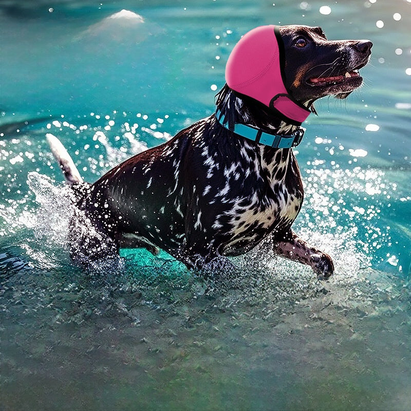 Summer Pet Tire For Safe And Comfortable Outdoor Adventures With Your Pet