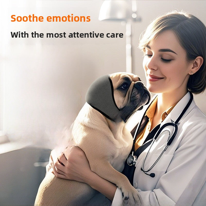 Summer Pet Tire For Safe And Comfortable Outdoor Adventures With Your Pet