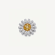 Little Daisy Accessories