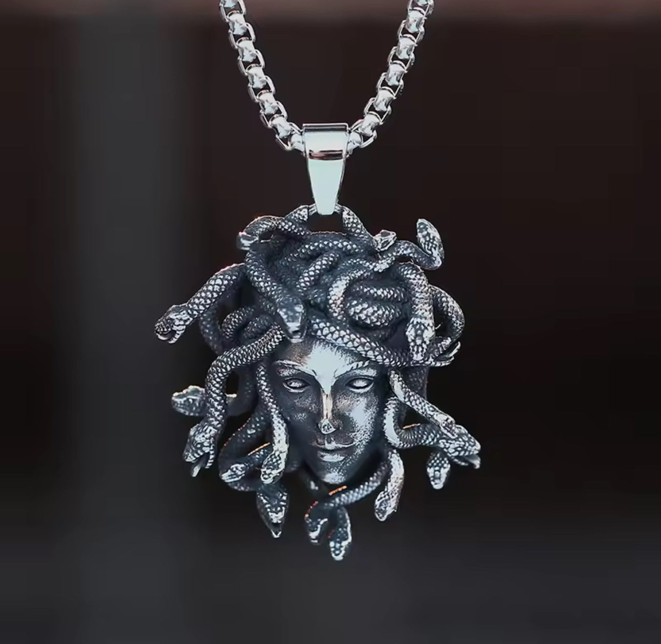 Gothic Snake Pendant Necklace For Unisex Featuring Electroplated Zinc Alloy With Twisted Rope Chain