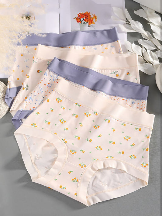4 Pieces Women Artsy Floral High Waist Underwear