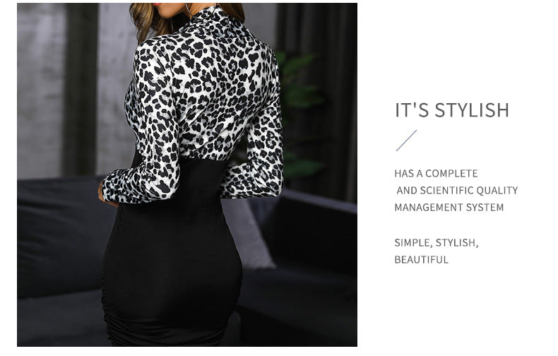 Women's Sheath Dress Casual V Neck Long Sleeve Leopard Above Knee Daily