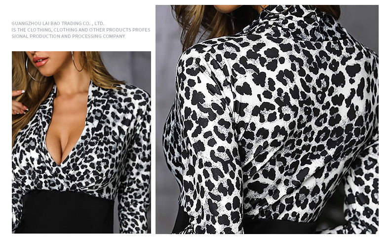 Women's Sheath Dress Casual V Neck Long Sleeve Leopard Above Knee Daily