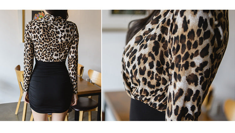 Women's Sheath Dress Casual V Neck Long Sleeve Leopard Above Knee Daily