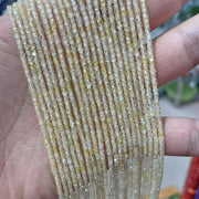 Multicolor-Golden Yellow