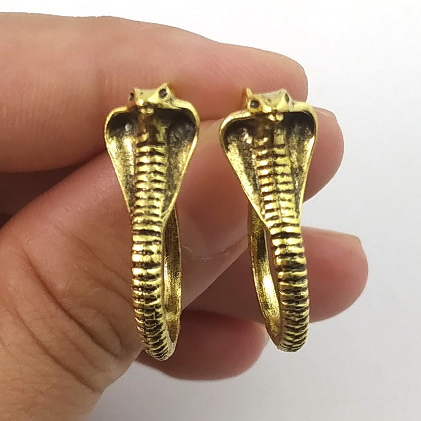 Retro Unisex Snake Earrings In Alloy With Silver Plated Electroplated Finish And 304 Stainless Steel Ear Pins