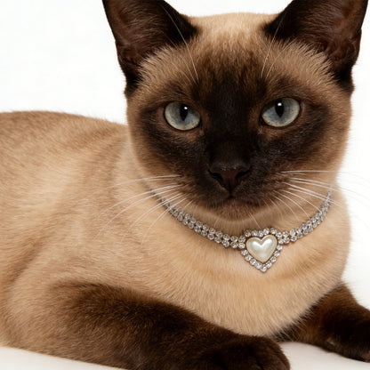 Heart Shape Pet Collar With Imitation Pearl Design Suitable For All Seasons