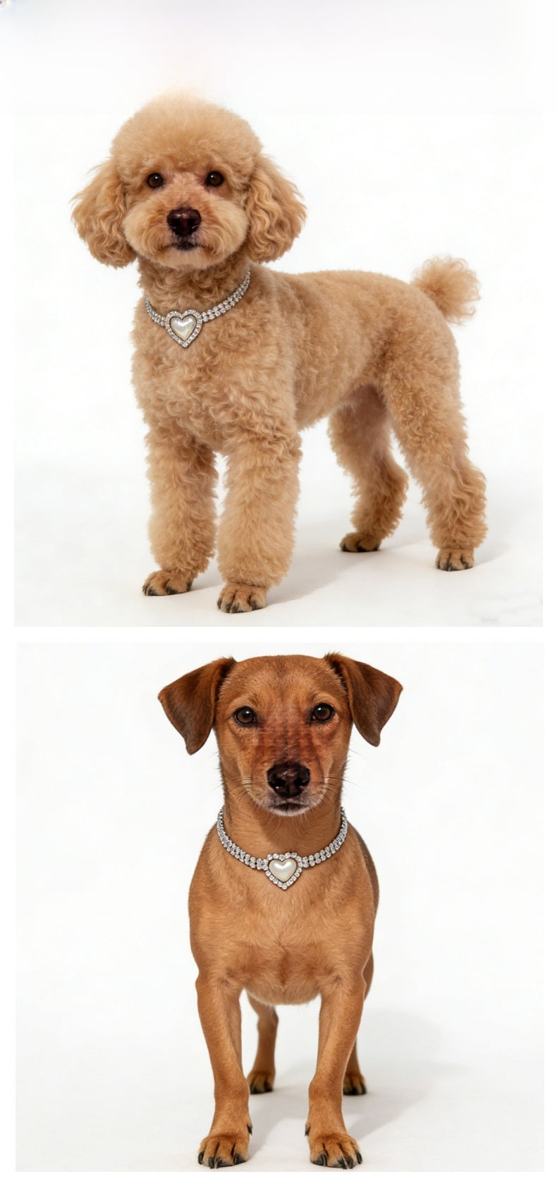 Heart Shape Pet Collar With Imitation Pearl Design Suitable For All Seasons