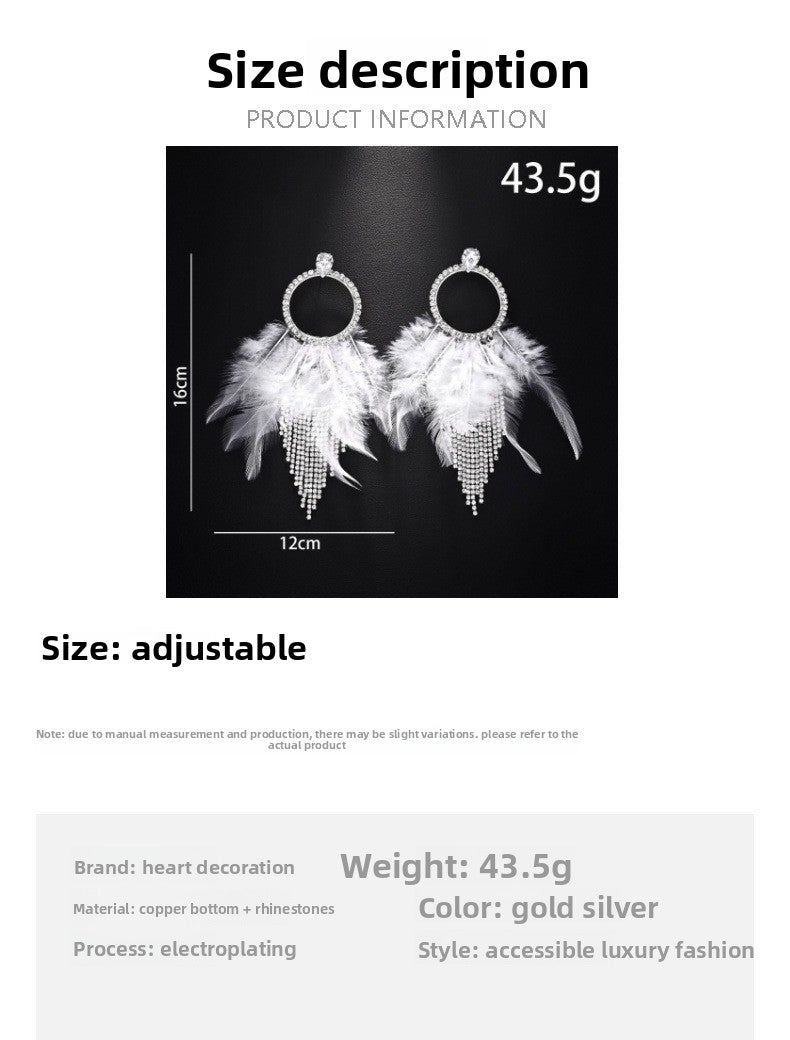 Feather Tassel Earrings For Unisex In Gothic Style With Silver Rhinestones Stud Design