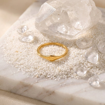 Geometric Electroplated Rings For Women In 304 Stainless Steel With 18K Real Gold PVD Coating And Zircon Inlay