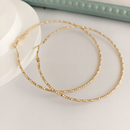 Exaggerated Large Circle Earrings For Women, Alloy Material With Electroplated Finish And Iron Ear Pins