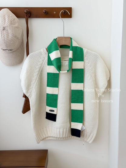 Women’s Plush Stripe Scarf In Multicolor, Perfect For Winter