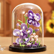 Fantasy+Transparent Flower Cover 243pcs