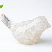 Crystal