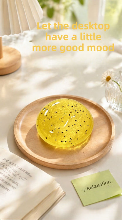 Handmade Transparent Coconut Squishy Toy Made Of Soft TPR Material For Stress Relief And Fun
