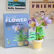 Orchid Pot 218PCs [Boxed 9 X4.5x12cm]]
