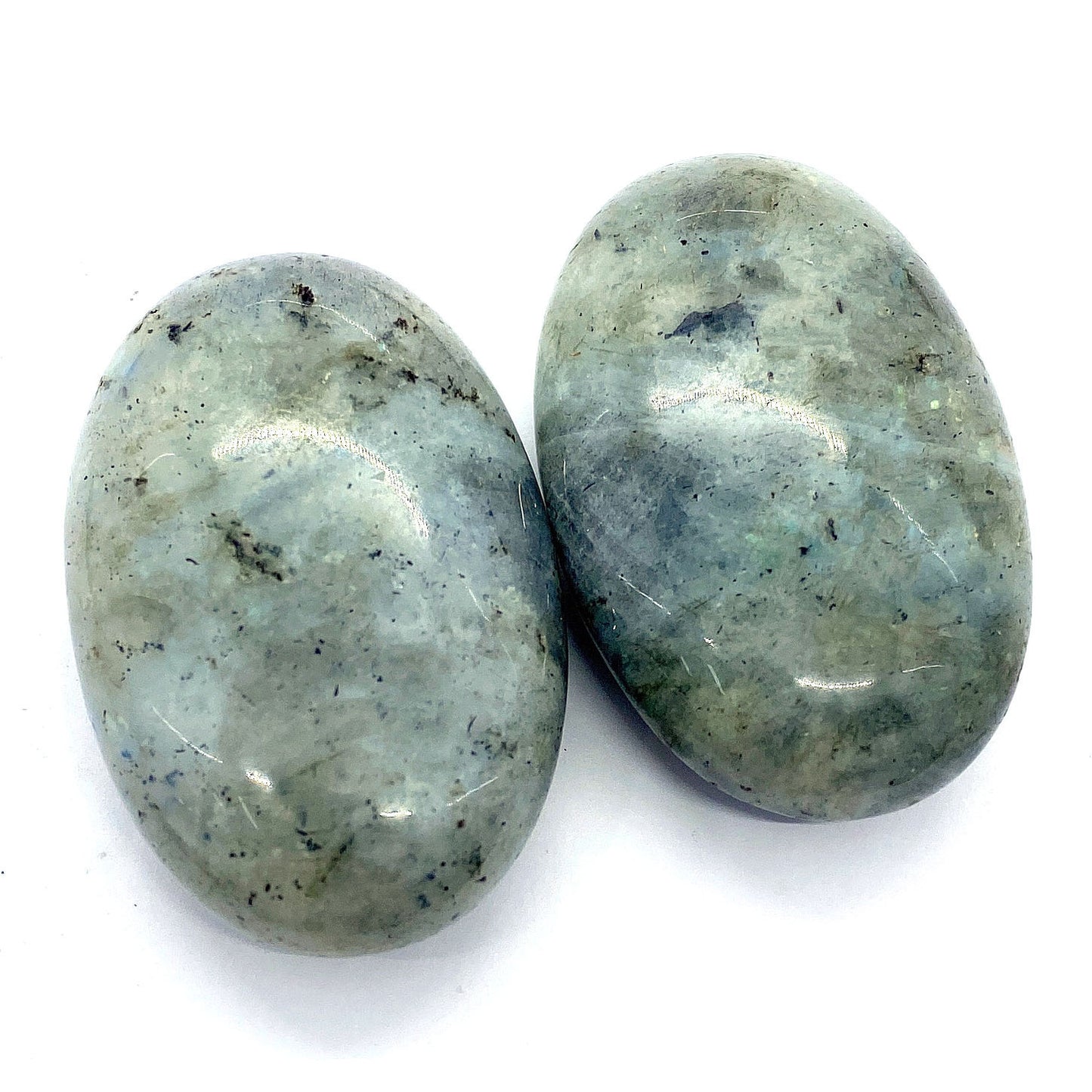 Swan Natural Stone Beads With Polished October Birthstone Opal Inlay For Jewelry Making