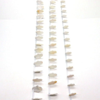 20 PCS Package Of Natural Shell Palm Beads Featuring Carving Craft For Jewelry Making