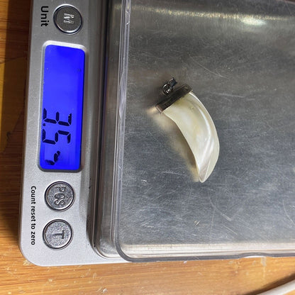 Natural Shell Pendant With Polished Finish Showcasing Marine Style