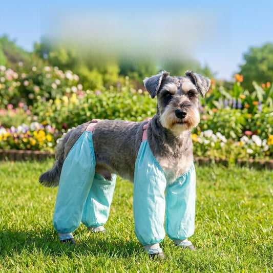 Summer Pet Clothing For Dogs Made With Durable Nylon Material