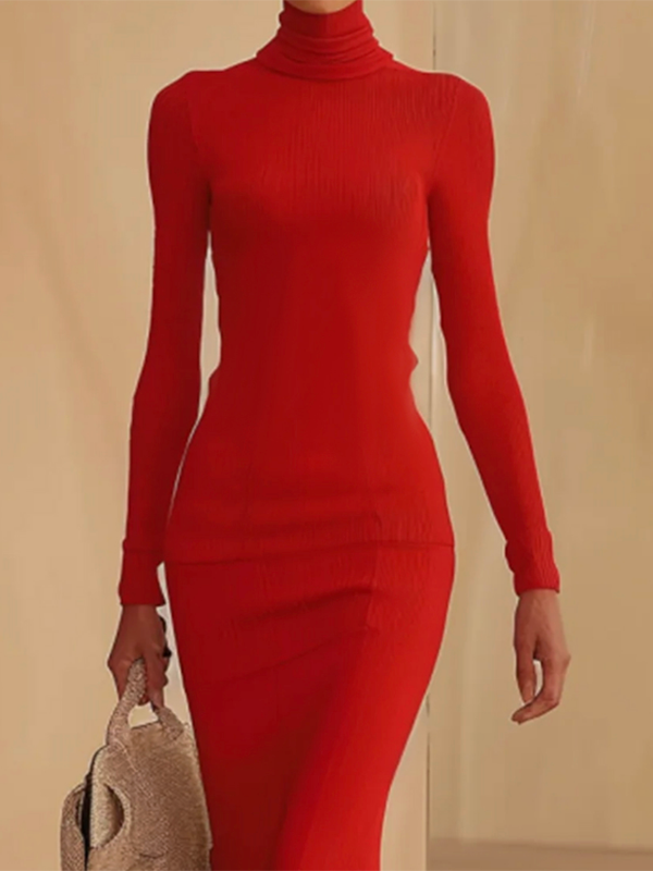 Long Sleeves Skinny Solid Color High Neck Maxi Dresses